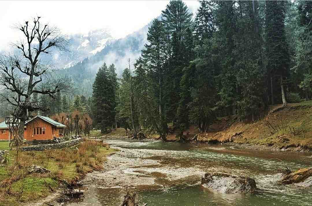 Few words on Pahalgam by Shariq Adeeb Ansari.
