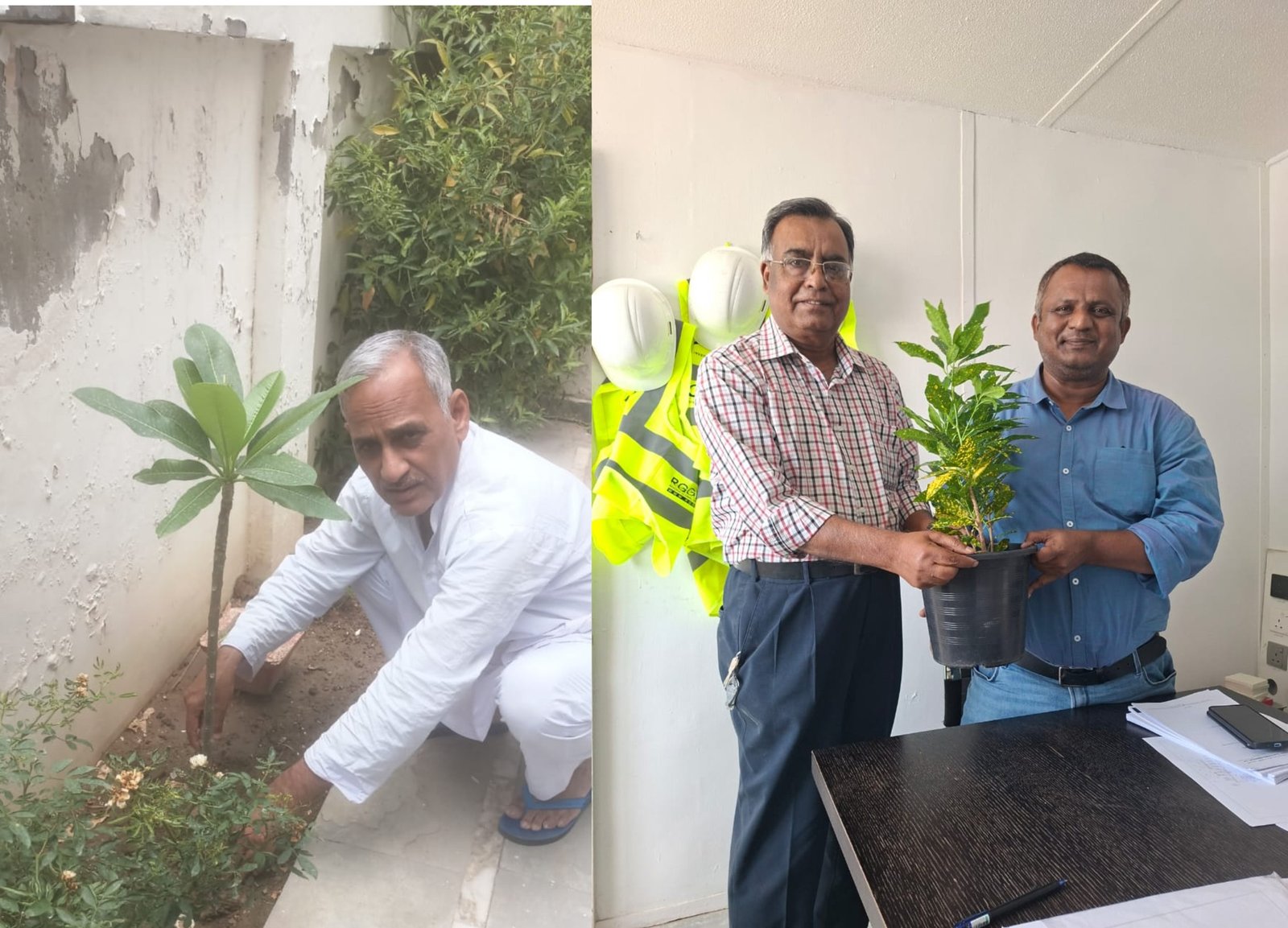 विश्व पर्यावरण दिवस 2025: ऑल इंडिया पसमांदा मुस्लिम महाज़ की पर्यावरण संरक्षण की प्रेरणादायक पहल