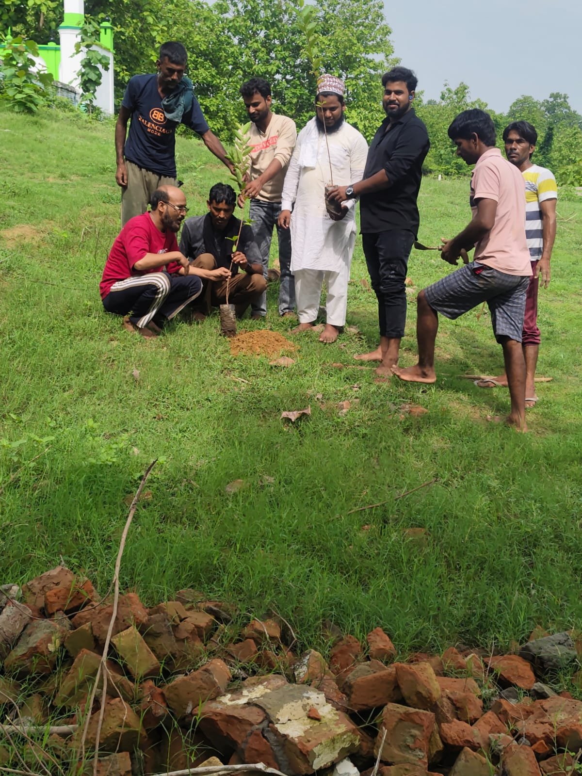 ऑल इंडिया पसमांदा मुस्लिम महाज़ ने चलाया वृक्षारोपण अभियान